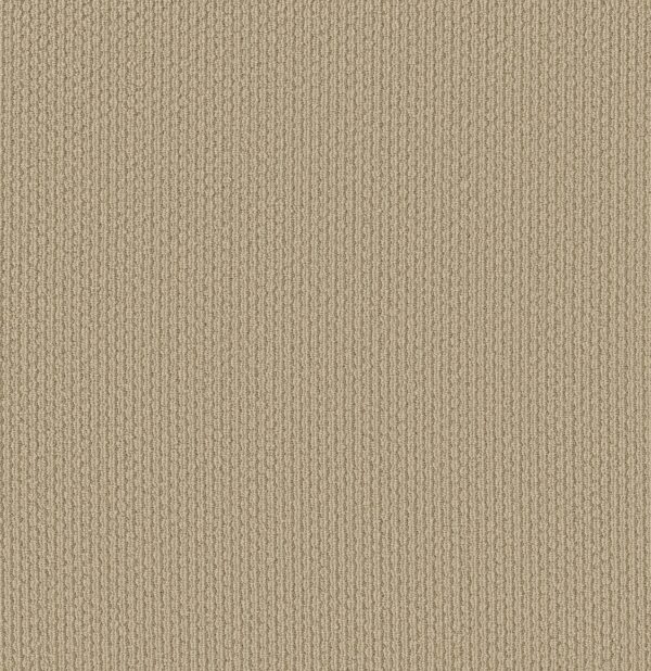 Shaw Floors Carpet Cathedral Hill II Antique Linen 00225_ZZ040