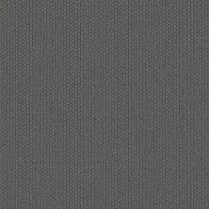 Shaw Floors Carpet Cathedral Hill II Mystery 00456_ZZ040
