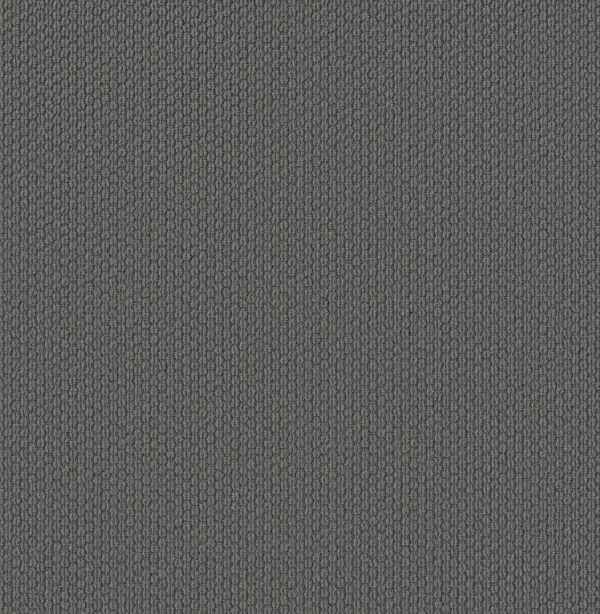 Shaw Floors Carpet Cathedral Hill II Mystery 00456_ZZ040