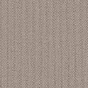 Shaw Floors Carpet Cathedral Hill II Cement 00512_ZZ040