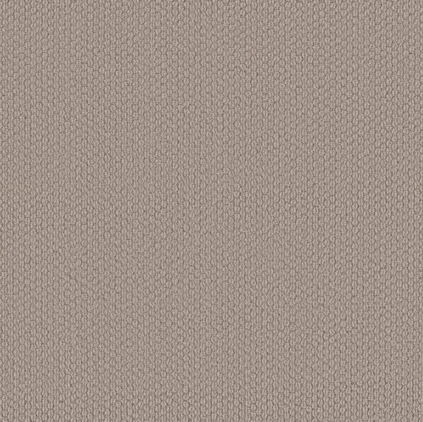 Shaw Floors Carpet Cathedral Hill II Cement 00512_ZZ040