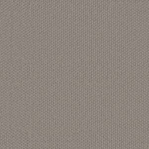 Shaw Floors Carpet Cathedral Hill II Valley Mist 00523_ZZ040
