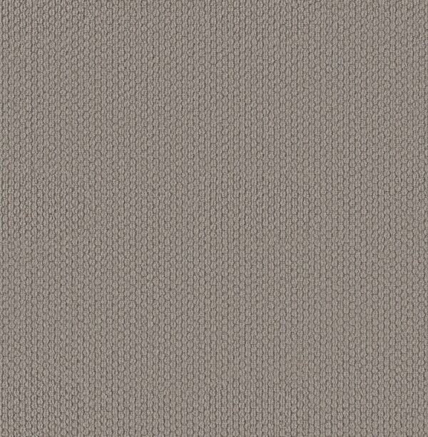 Shaw Floors Carpet Cathedral Hill II Valley Mist 00523_ZZ040