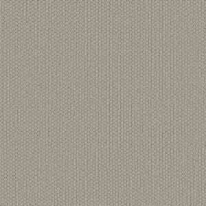 Shaw Floors Carpet Cathedral Hill II Stylish Gray 00552_ZZ040