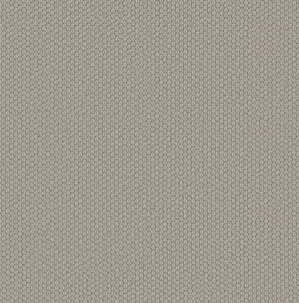 Shaw Floors Carpet Cathedral Hill II Stylish Gray 00552_ZZ040