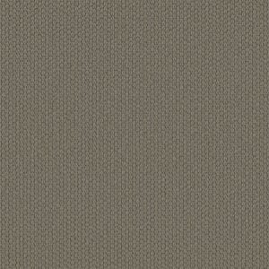 Shaw Floors Carpet Cathedral Hill II River Shale 00557_ZZ040