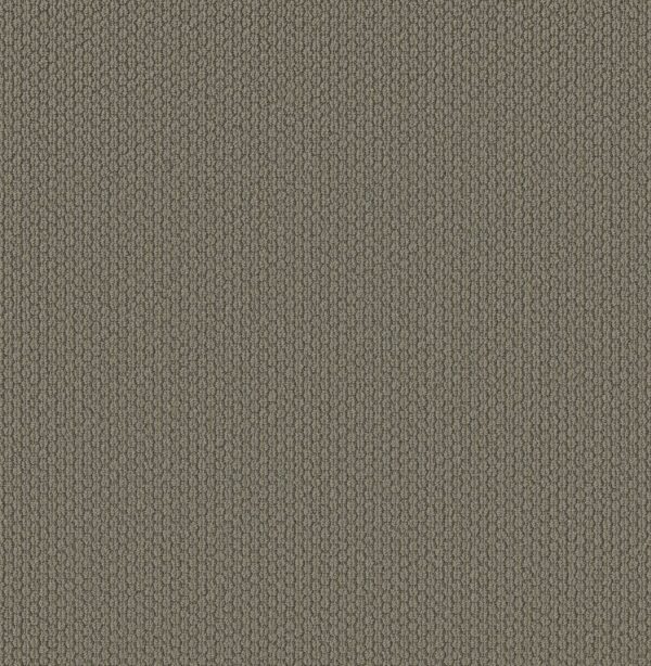 Shaw Floors Carpet Cathedral Hill II River Shale 00557_ZZ040