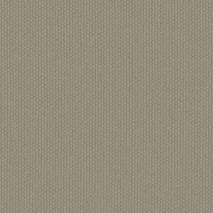Shaw Floors Carpet Cathedral Hill II Subtle 00573_ZZ040