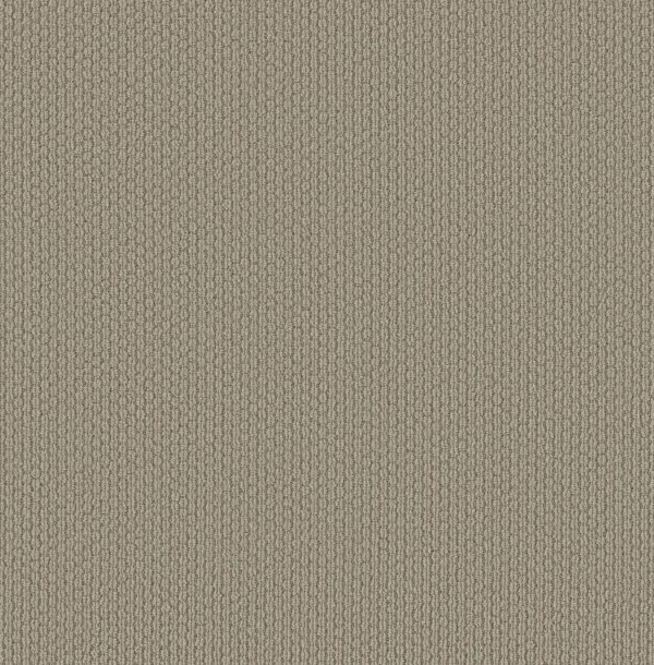 Shaw Floors Carpet Cathedral Hill II Subtle 00573_ZZ040