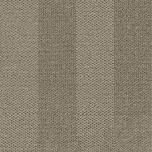 Shaw Floors Carpet Cathedral Hill II Taupe Tone 00574_ZZ040