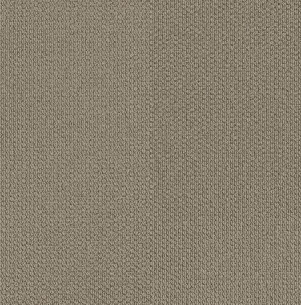 Shaw Floors Carpet Cathedral Hill II Taupe Tone 00574_ZZ040