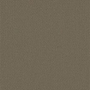 Shaw Floors Carpet Cathedral Hill II Thunder Bay 00576_ZZ040