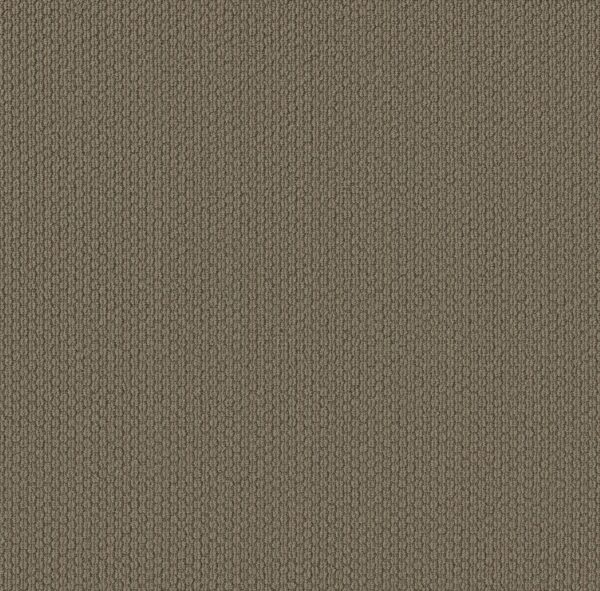 Shaw Floors Carpet Cathedral Hill II Thunder Bay 00576_ZZ040