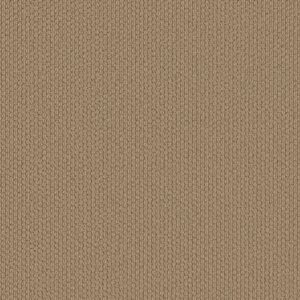 Shaw Floors Carpet Cathedral Hill II Graham Cracker 00724_ZZ040