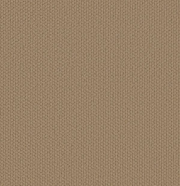 Shaw Floors Carpet Cathedral Hill II Graham Cracker 00724_ZZ040