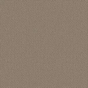 Shaw Floors Carpet Cathedral Hill II Canyon Clay 00753_ZZ040