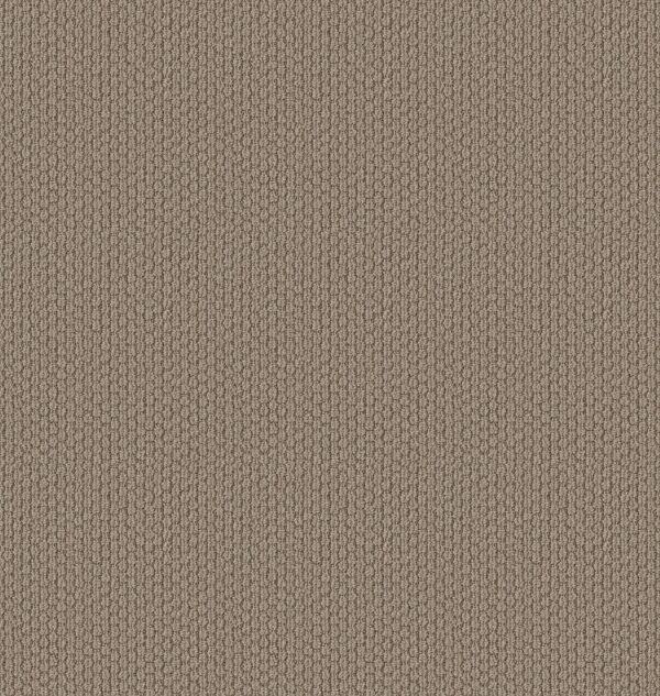 Shaw Floors Carpet Cathedral Hill II Canyon Clay 00753_ZZ040