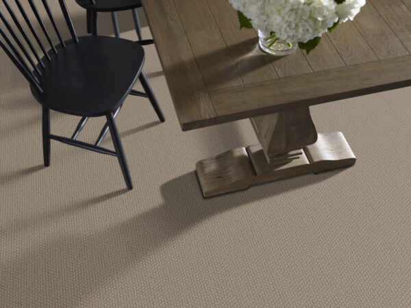 Shaw Floors Carpet Cathedral Hill II Canyon Clay 00753_ZZ040 - Image 2