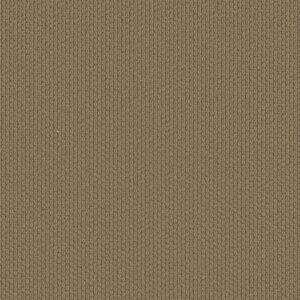 Shaw Floors Carpet Cathedral Hill II Warm Hearth 00774_ZZ040