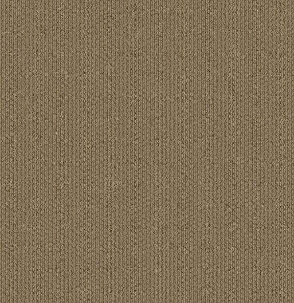Shaw Floors Carpet Cathedral Hill II Warm Hearth 00774_ZZ040