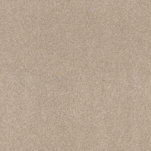 Shaw Floors Carpet Ocean View Delicate 00113_ZZ043