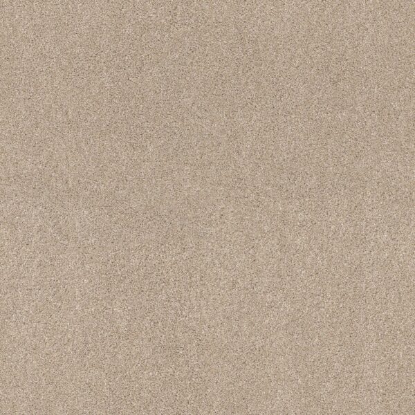 Shaw Floors Carpet Ocean View Delicate 00113_ZZ043