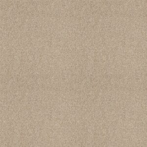 Shaw Floors Carpet Ocean View Softer Tan 00123_ZZ043