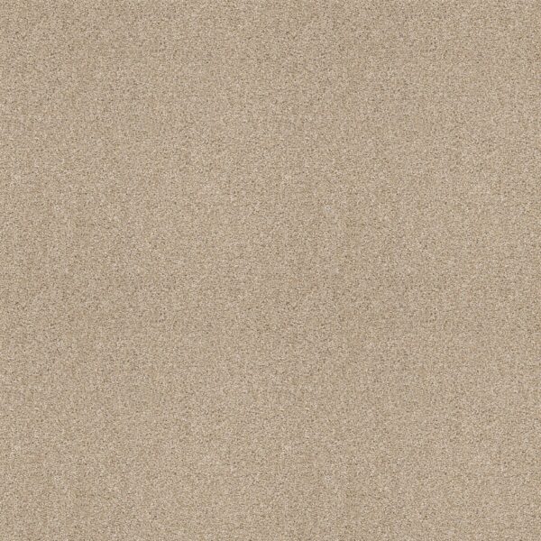 Shaw Floors Carpet Ocean View Softer Tan 00123_ZZ043