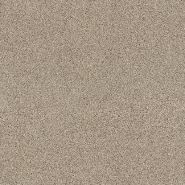 Shaw Floors Carpet Ocean View Dhurrie 00133_ZZ043