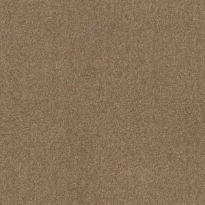 Shaw Floors Carpet Ocean View Saddle 00228_ZZ043