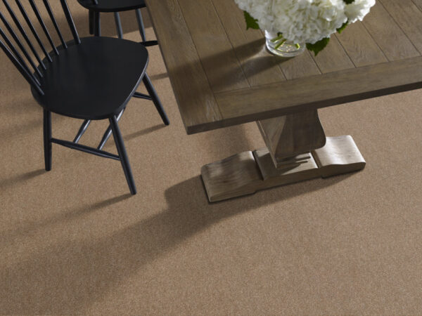 Shaw Floors Carpet Ocean View Saddle 00228_ZZ043 - Image 2