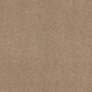 Shaw Floors Carpet Ocean View Farro 00237_ZZ043