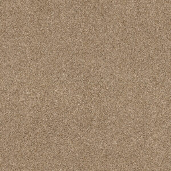 Shaw Floors Carpet Ocean View Farro 00237_ZZ043