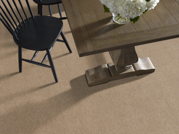 Shaw Floors Carpet Ocean View Farro 00237_ZZ043 - Image 2