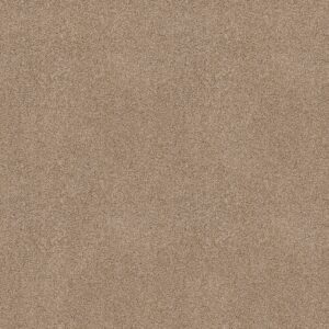 Shaw Floors Carpet Ocean View Wicker 00273_ZZ043