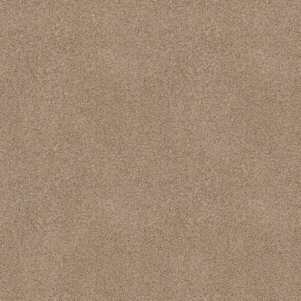 Shaw Floors Carpet Ocean View Wicker 00273_ZZ043
