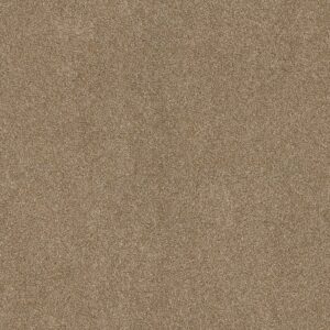 Shaw Floors Carpet Ocean View Caramelo 00275_ZZ043