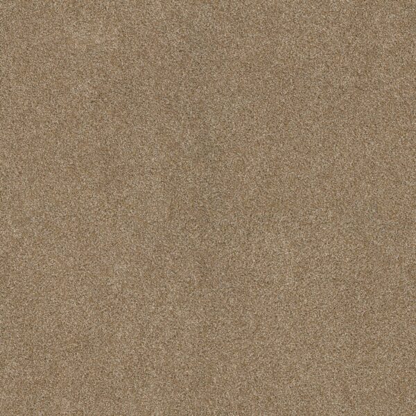 Shaw Floors Carpet Ocean View Caramelo 00275_ZZ043