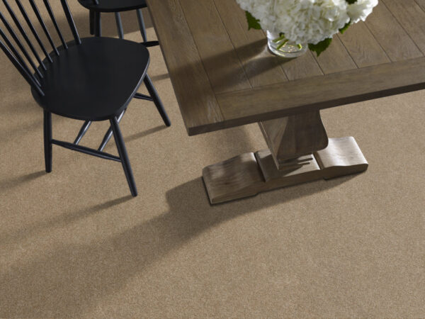 Shaw Floors Carpet Ocean View Caramelo 00275_ZZ043 - Image 2