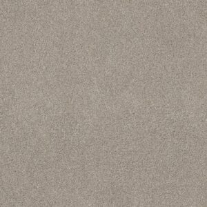 Shaw Floors Carpet Ocean View Shale 00512_ZZ043