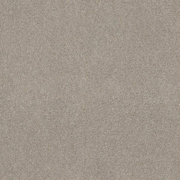 Shaw Floors Carpet Ocean View Shale 00512_ZZ043