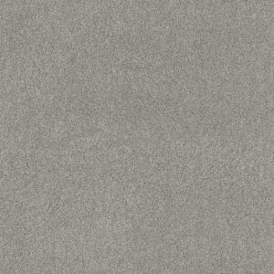 Shaw Floors Carpet Ocean View Celtic 00523_ZZ043