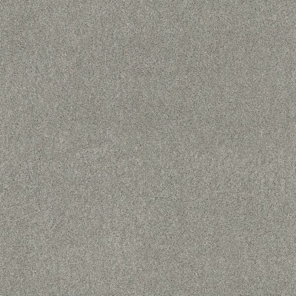 Shaw Floors Carpet Ocean View Celtic 00523_ZZ043