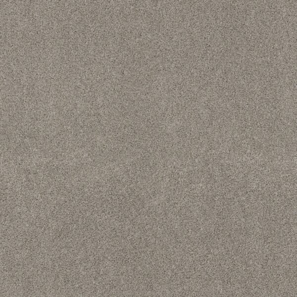 Shaw Floors Carpet Ocean View Shadow 00534_ZZ043