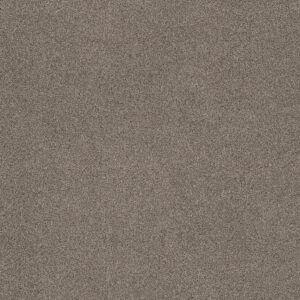Shaw Floors Carpet Ocean View Elusive 00537_ZZ043