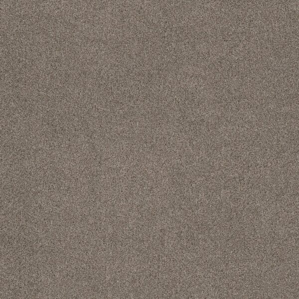 Shaw Floors Carpet Ocean View Elusive 00537_ZZ043
