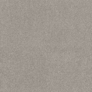 Shaw Floors Carpet Ocean View Silver Screen 00542_ZZ043