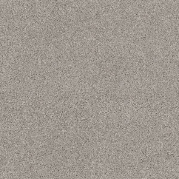 Shaw Floors Carpet Ocean View Silver Screen 00542_ZZ043