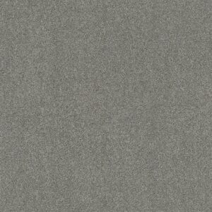 Shaw Floors Carpet Ocean View Classic Stone 00545_ZZ043