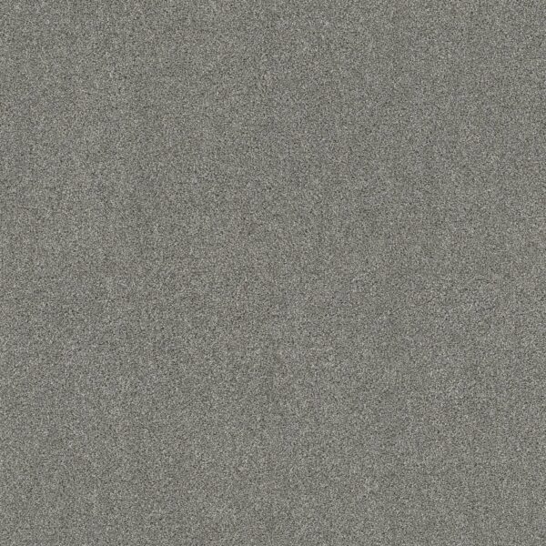 Shaw Floors Carpet Ocean View Classic Stone 00545_ZZ043